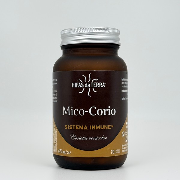 Setas (Mico-Corio)